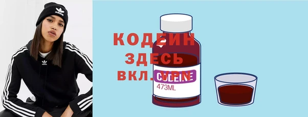 PSILOCYBIN Переславль-Залесский