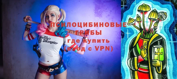 jwh Пересвет