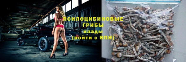 jwh Пересвет