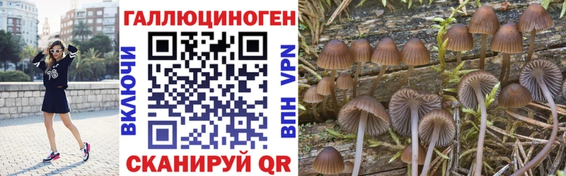Галлюциногенные грибы GOLDEN TEACHER  Судогда 