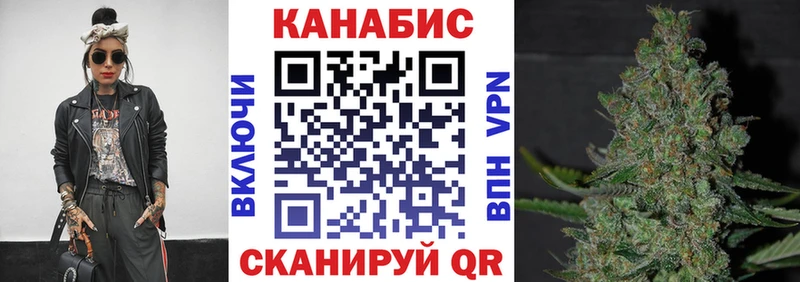 Каннабис SATIVA & INDICA  Судогда 